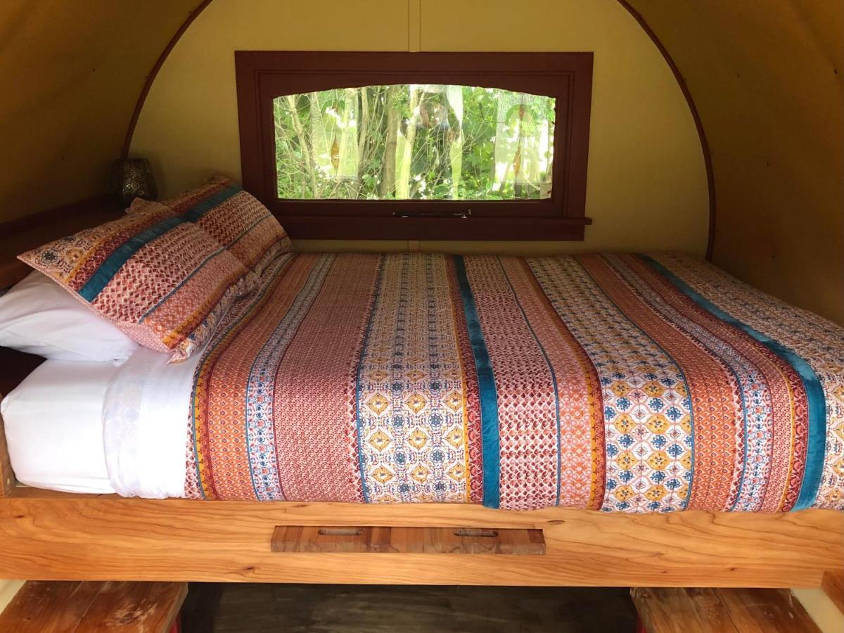 Greytown Campground Экстерьер фото