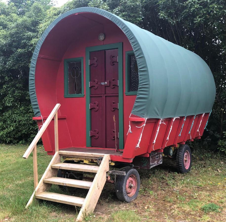 Greytown Campground Экстерьер фото
